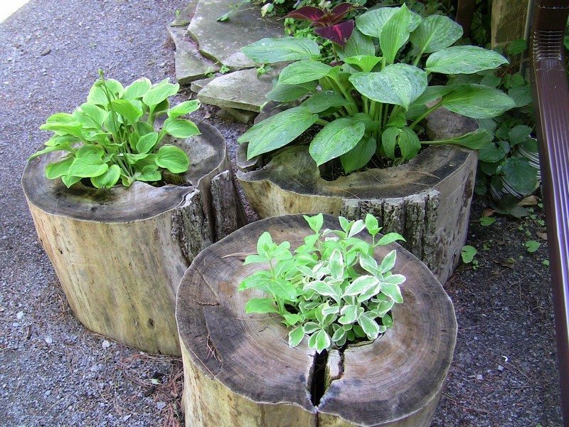 Outdoor Projects with Wood