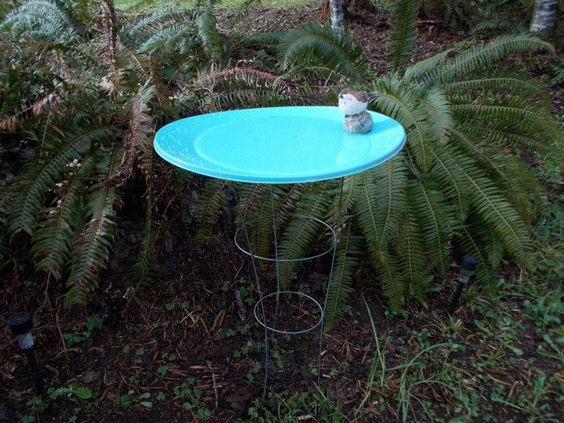 Tomato Cage Bird Bath