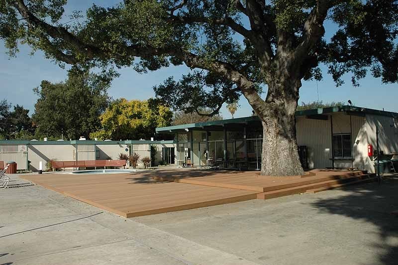 Architecture and Trees