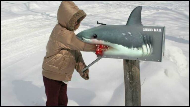Creative Unusual Mailbox Ideas
