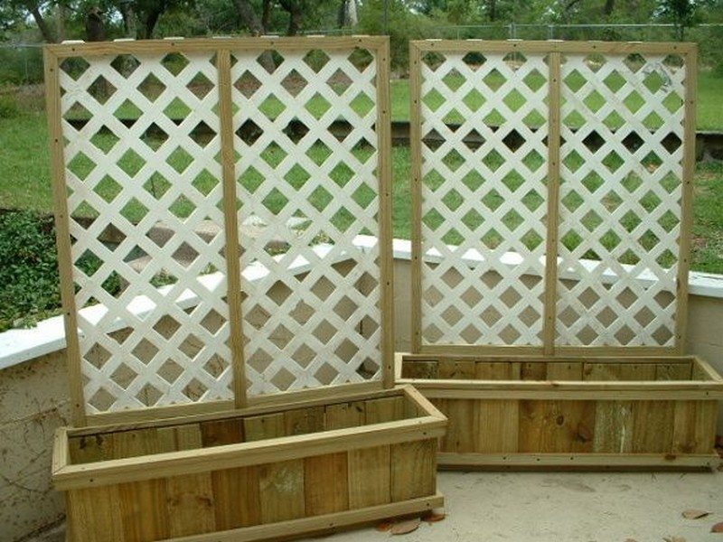 Outdoor Privacy Screen Ideas