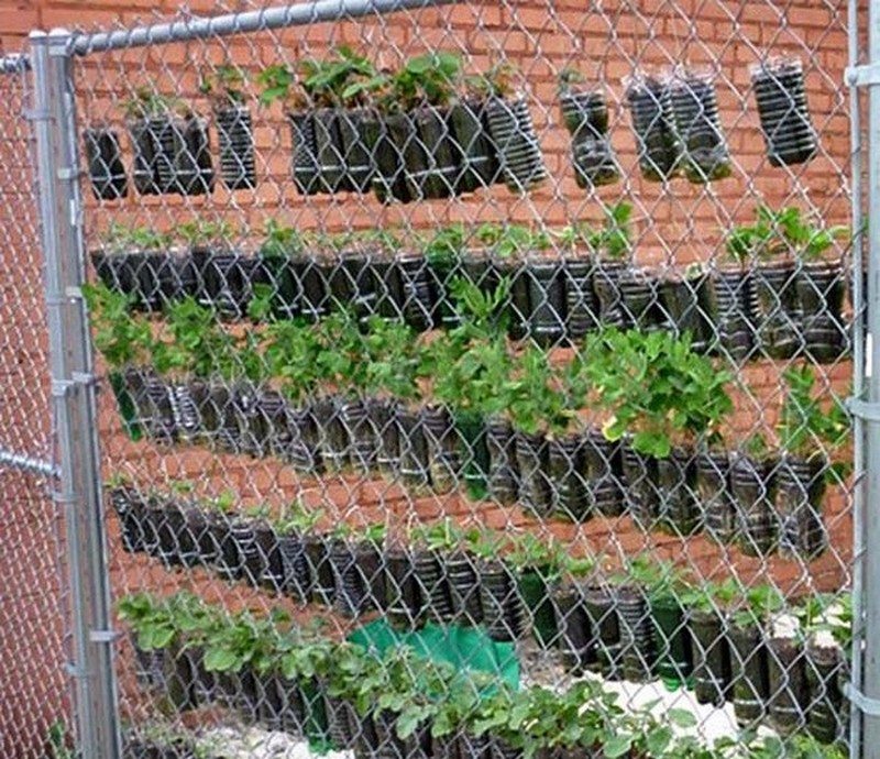 Space Saving DIY Vertical Gardens