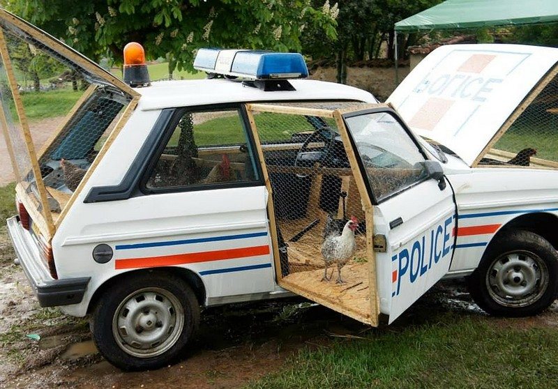 Vehicle Chicken Coops