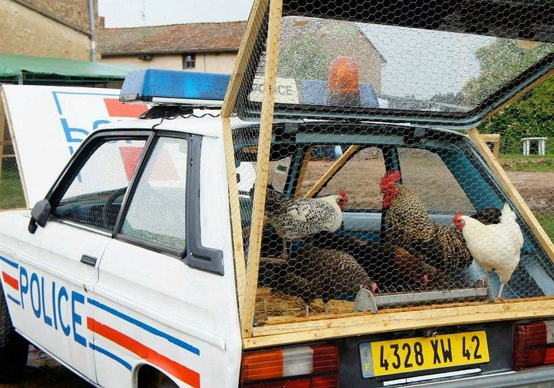 Vehicle Chicken Coops