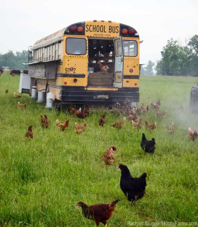 Vehicle Chicken Coops