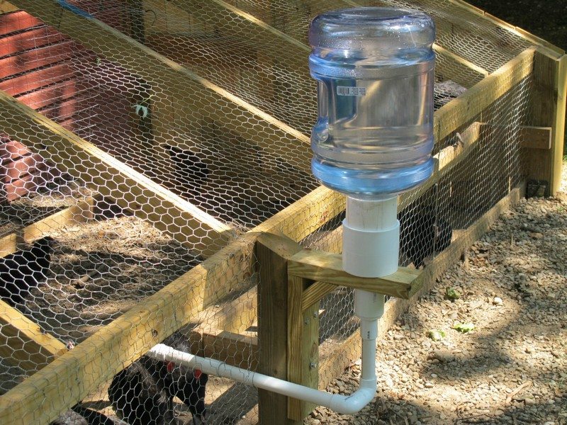 Chicken Waterer Ideas