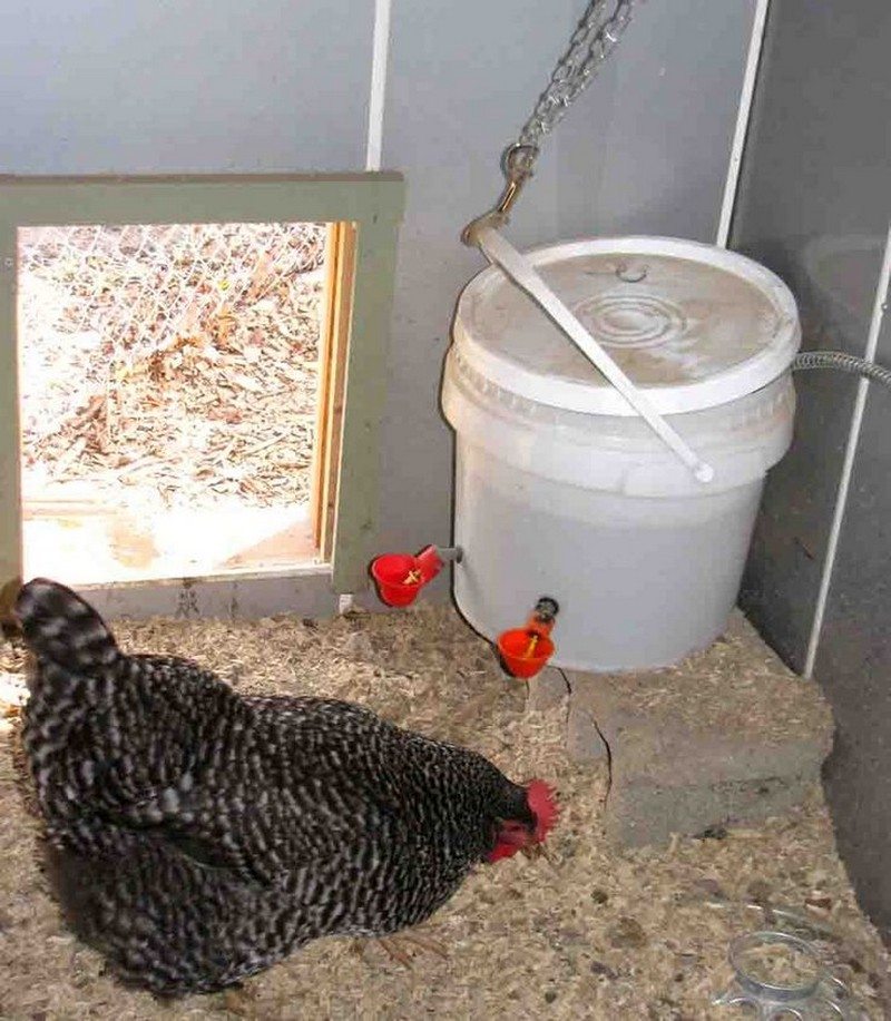 Chicken Waterer Ideas