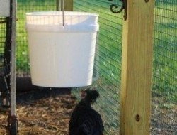 Chicken Water Station Ideas | The Owner-Builder Network