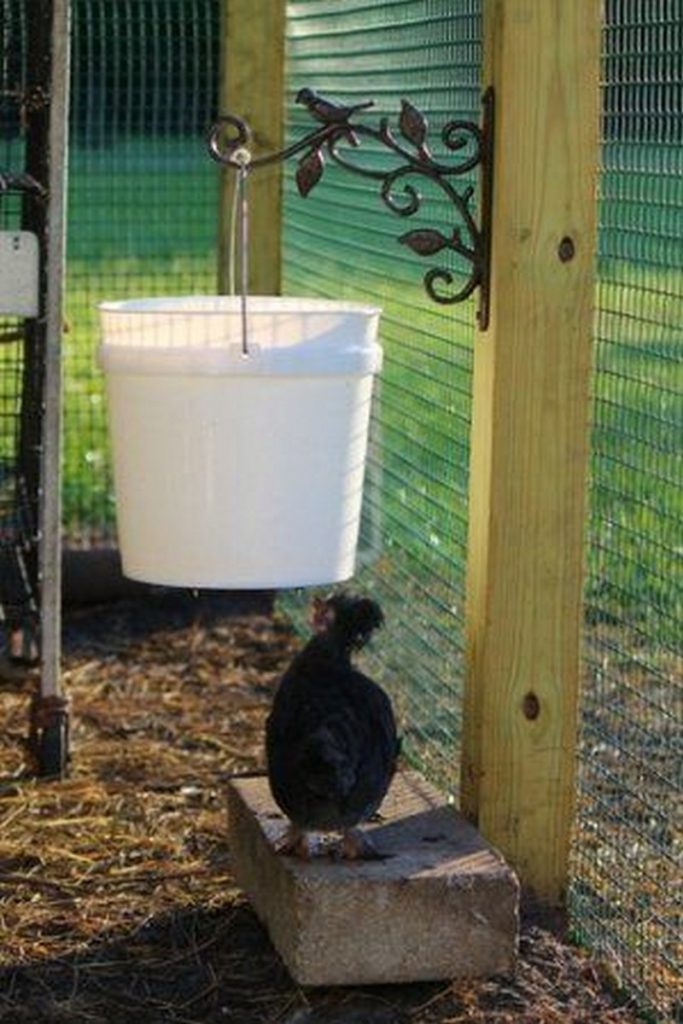 Chicken Waterer Ideas