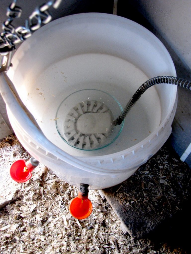 Chicken Waterer Ideas