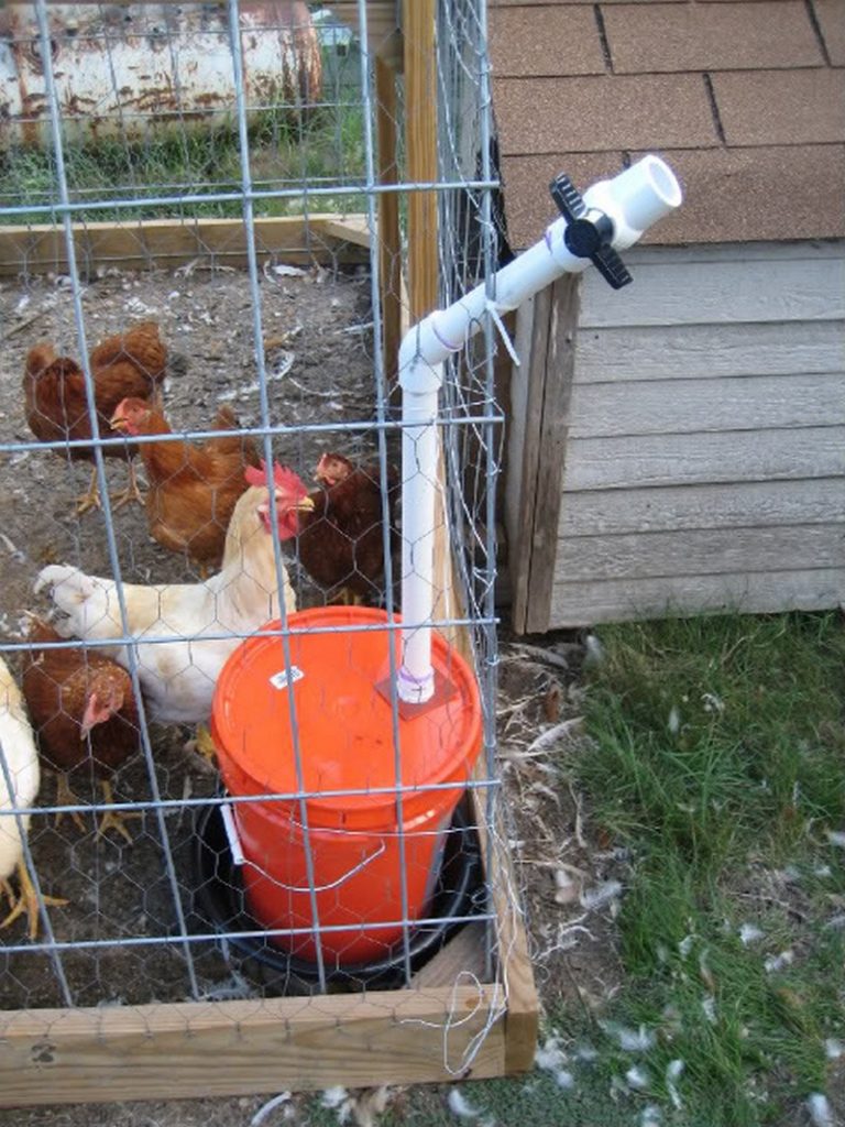 Chicken Waterer Ideas