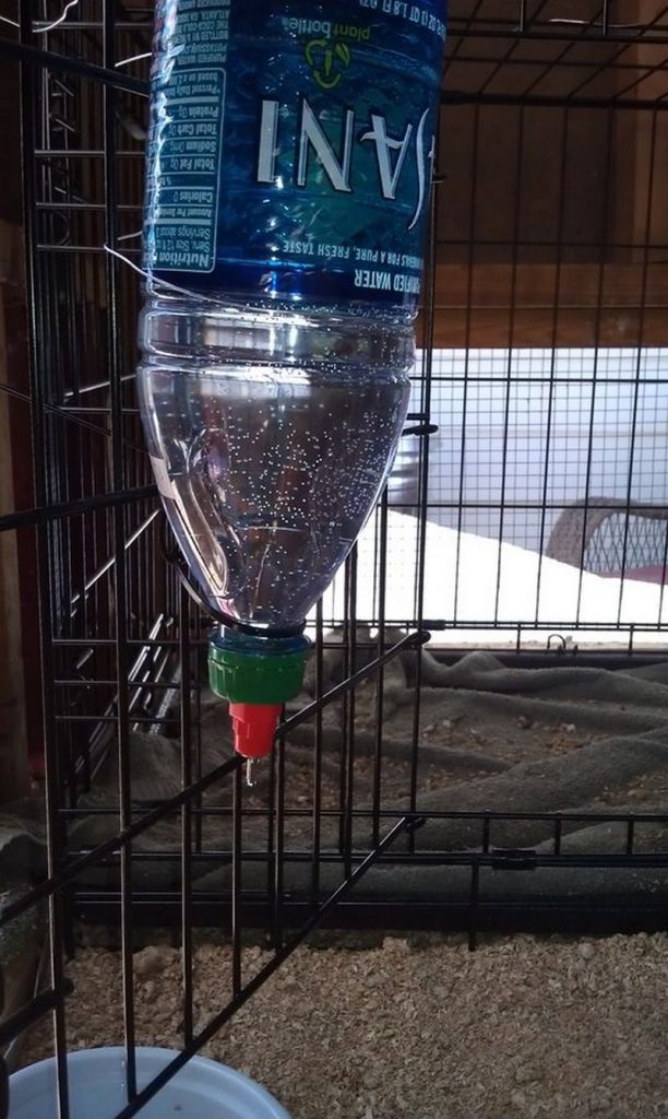 Chicken Waterer Ideas