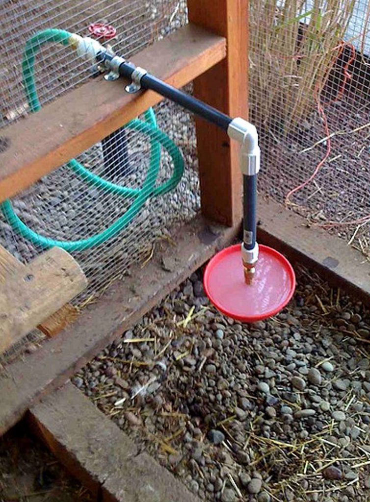 Chicken Water Station Ideas | The Owner-Builder Network