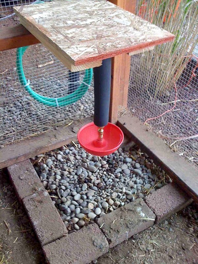 Chicken Waterer Ideas