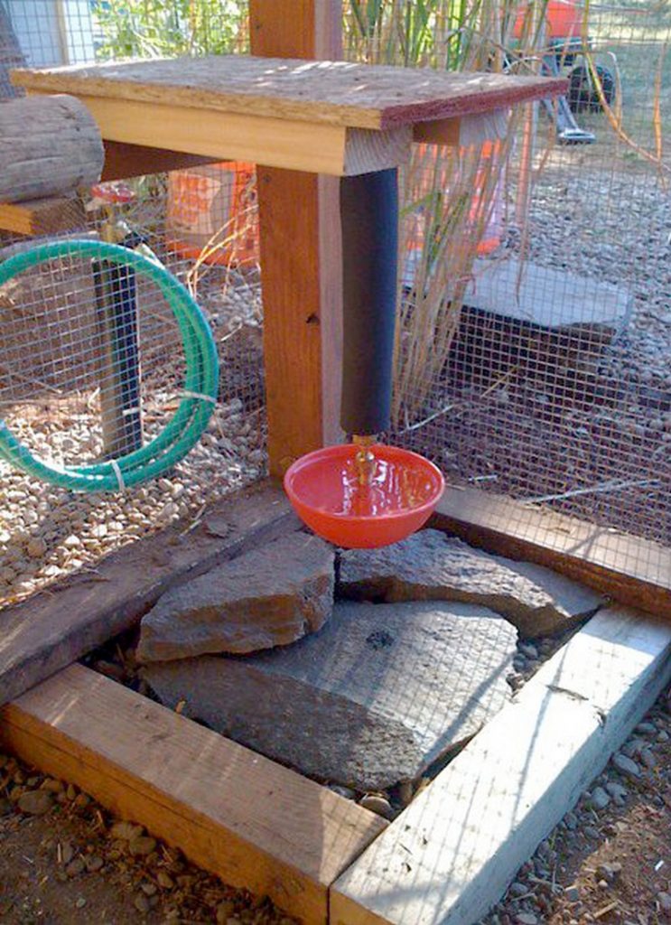 Chicken Waterer Ideas