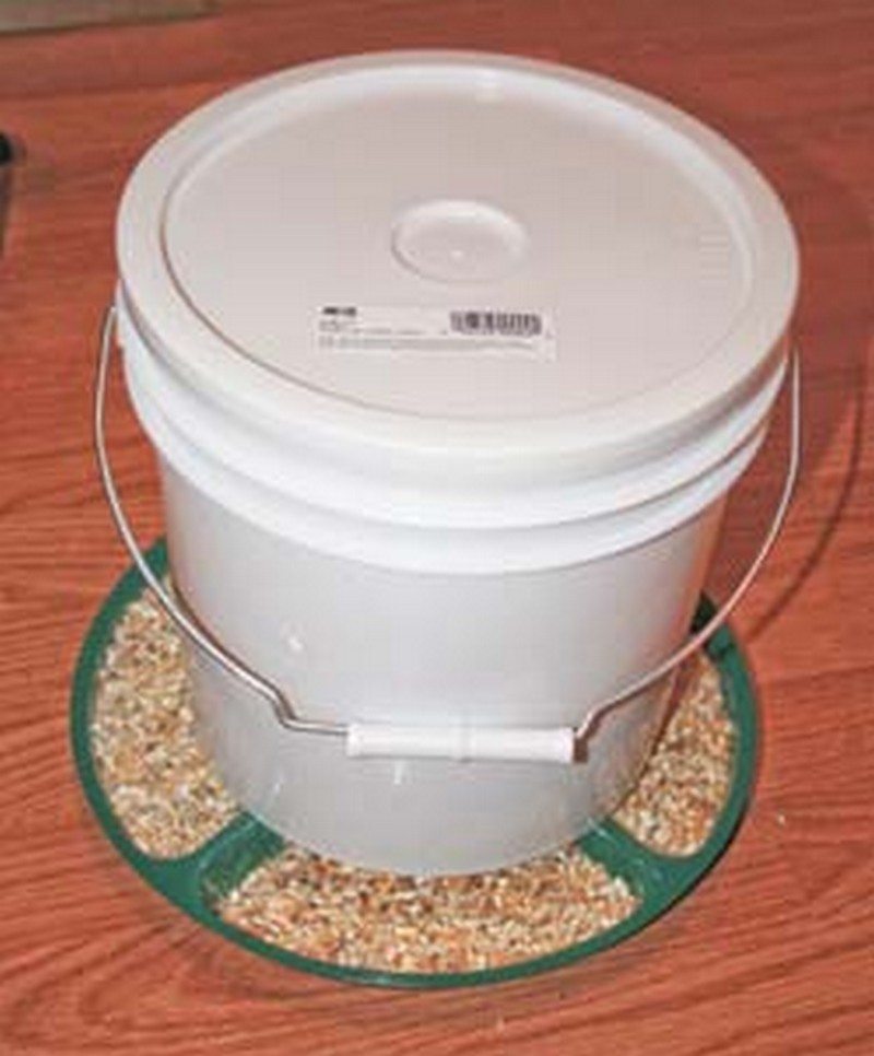 5 Gallon Bucket Chicken Feeder