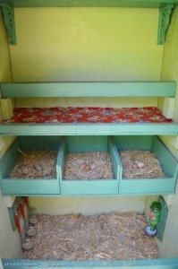 6 Easy to Make Chicken Feeder Ideas for Healthy Livestock