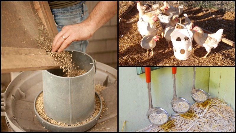 Easy chicken feeder solutions The Owner-Builder Network