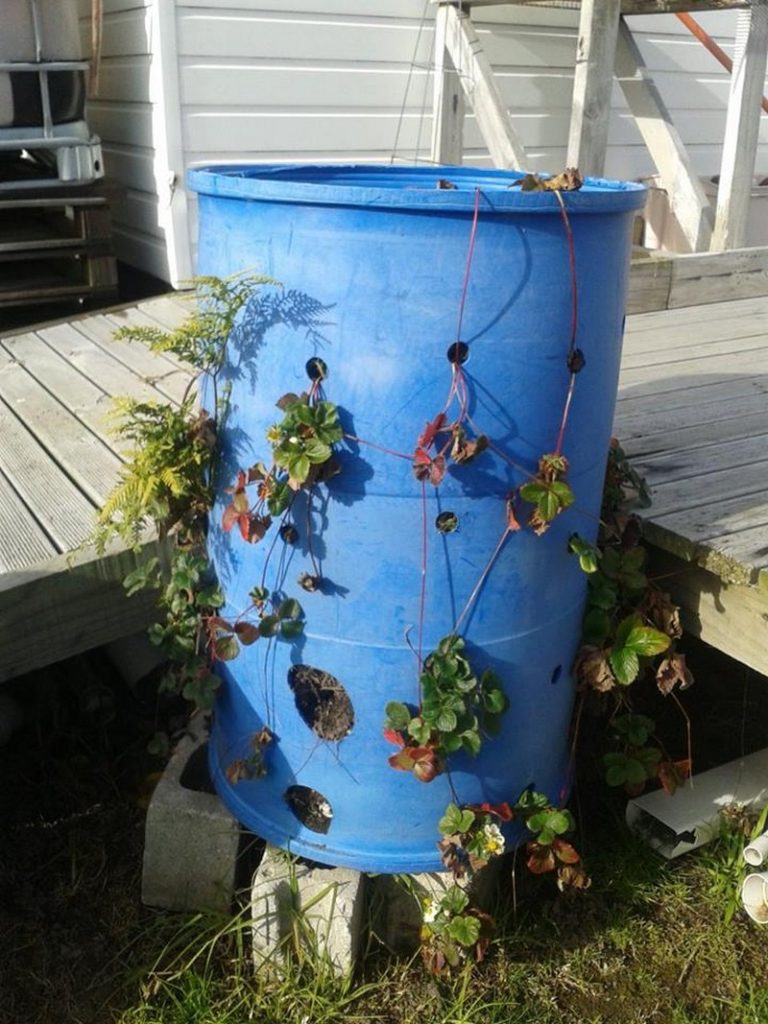 Gallon Plastic Barrel Projects