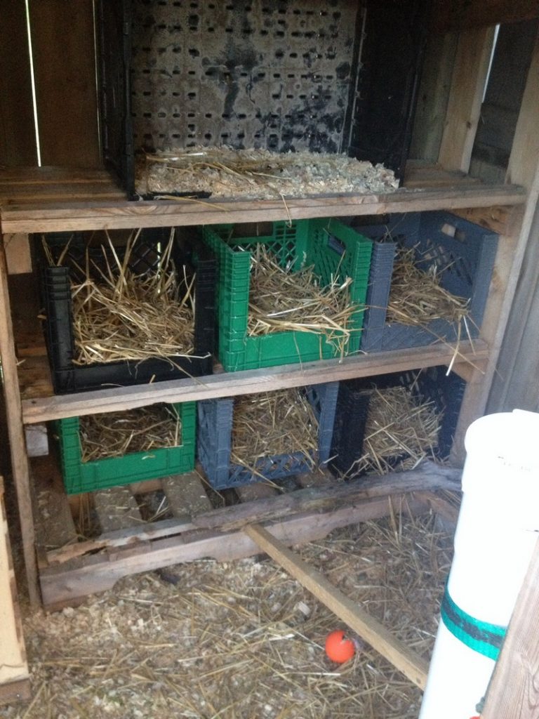 Nesting Box Ideas