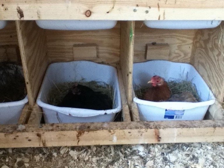 6 Creative Chicken Nesting Box Ideas