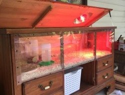 Clever chick brooder ideas | The Owner-Builder Network