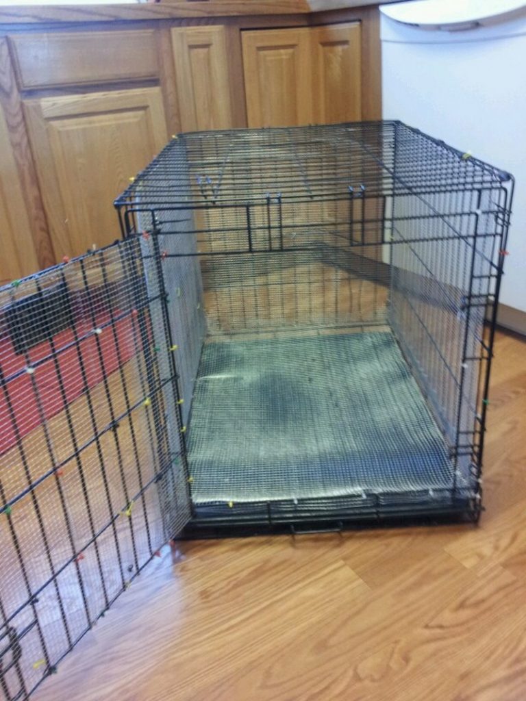 Chick Brooder Ideas