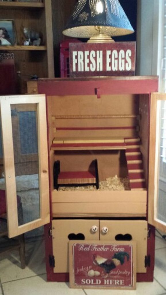 Chick Brooder Ideas