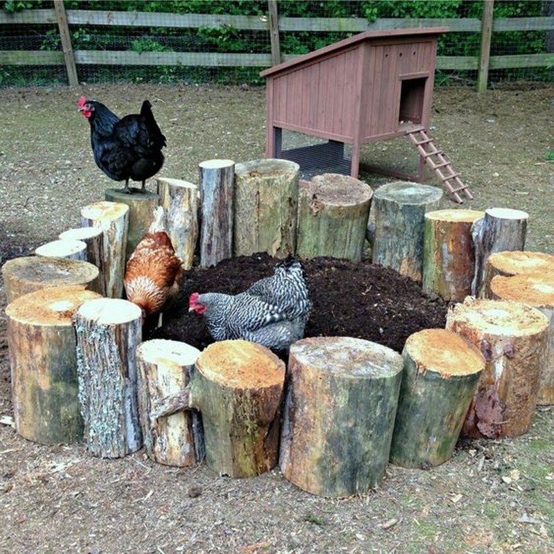 Dust Bath Ideas for Your Chickens