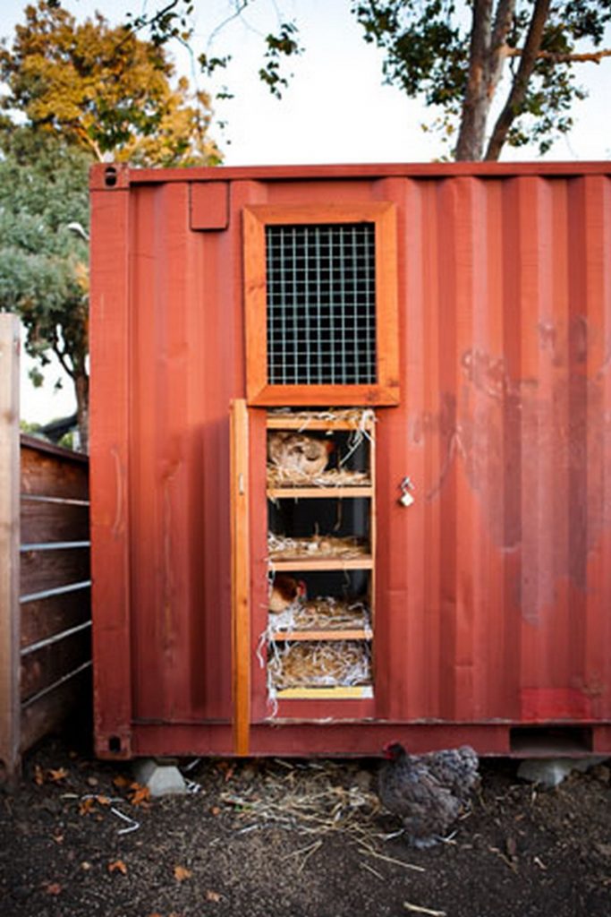 Shipping container converted into a chicken coop Chicken 