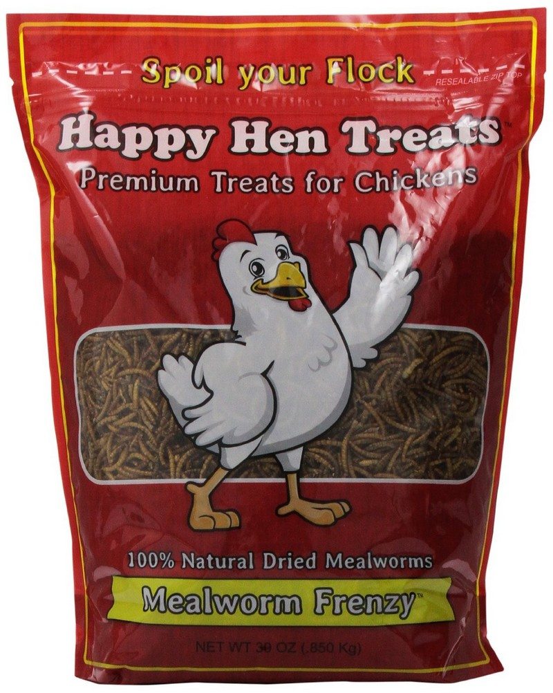 Healthy Homemade Treats For Chickens