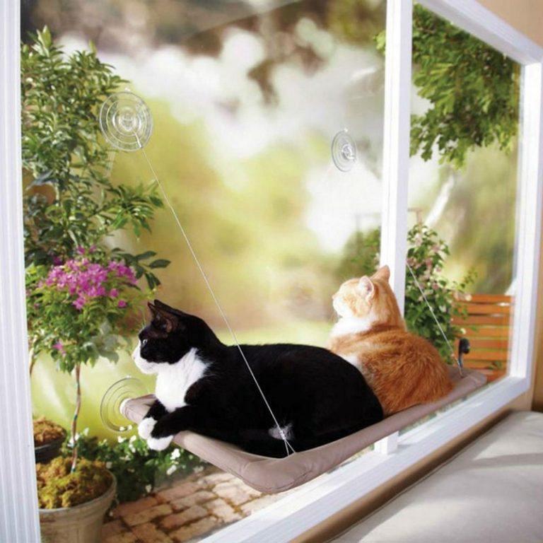 Window Mounted Cat Bed  The Owner Builder Network