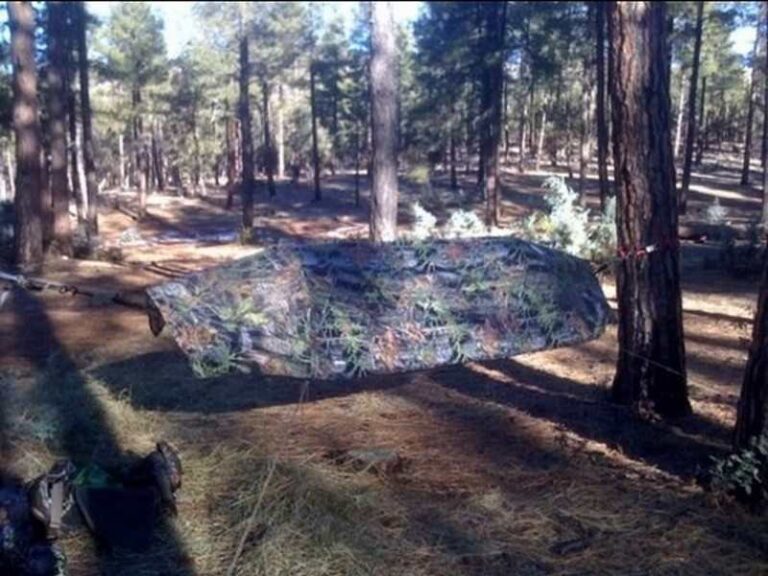 Camping Hammock