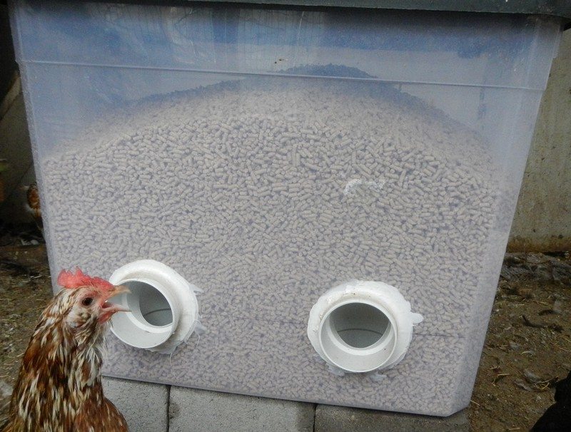 Clever Solutions Reduce Chicken Feed Waste