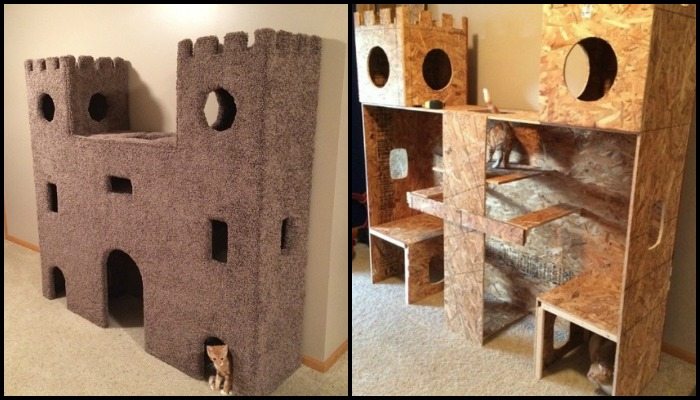 Cardboard cat hot sale castle diy