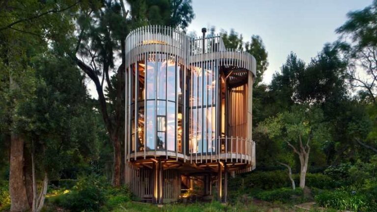 Paarman Tree House Cape Town, South Africa