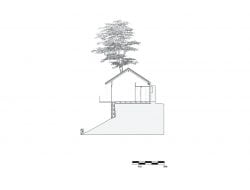 House Around A Tree