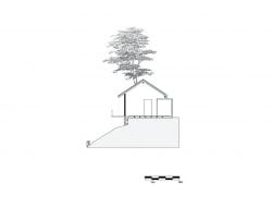 House Around A Tree