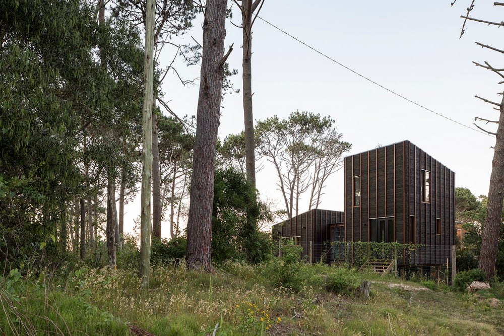 House in La Juanita blends seamlessly into its surroundings.