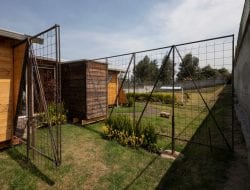 Orange Lemon House