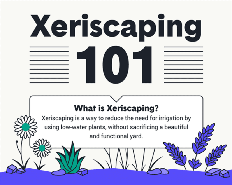 Xeriscaping is a type of landscaping that uses native, drought-tolerant plants or plants adapted to dry environments. 