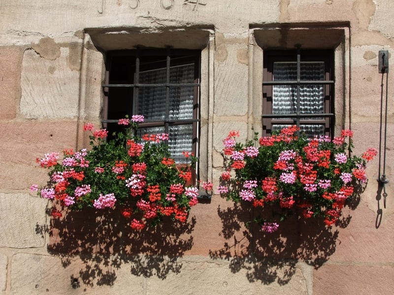 You'll find many window boxes and troughs sold in garden centers. 