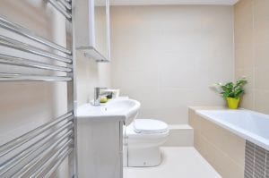 Plants for Your Bathroom