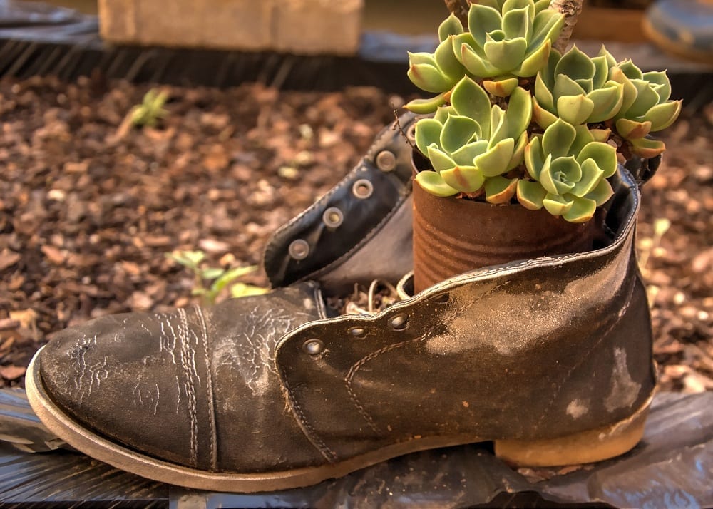 You can use old leather boots or even stilettos in your garden. 