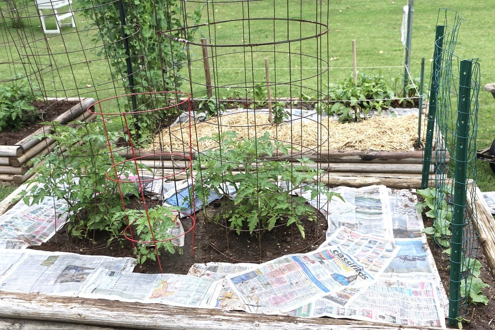 Organic mulches help nutrients reach plant roots. 