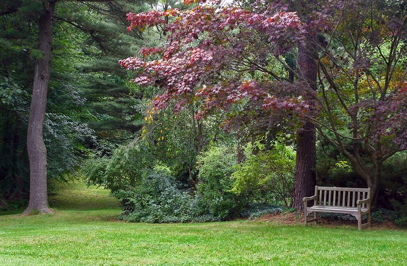 Establish a place to sit and observe the beauty of nature in your garden or build a path for walking.