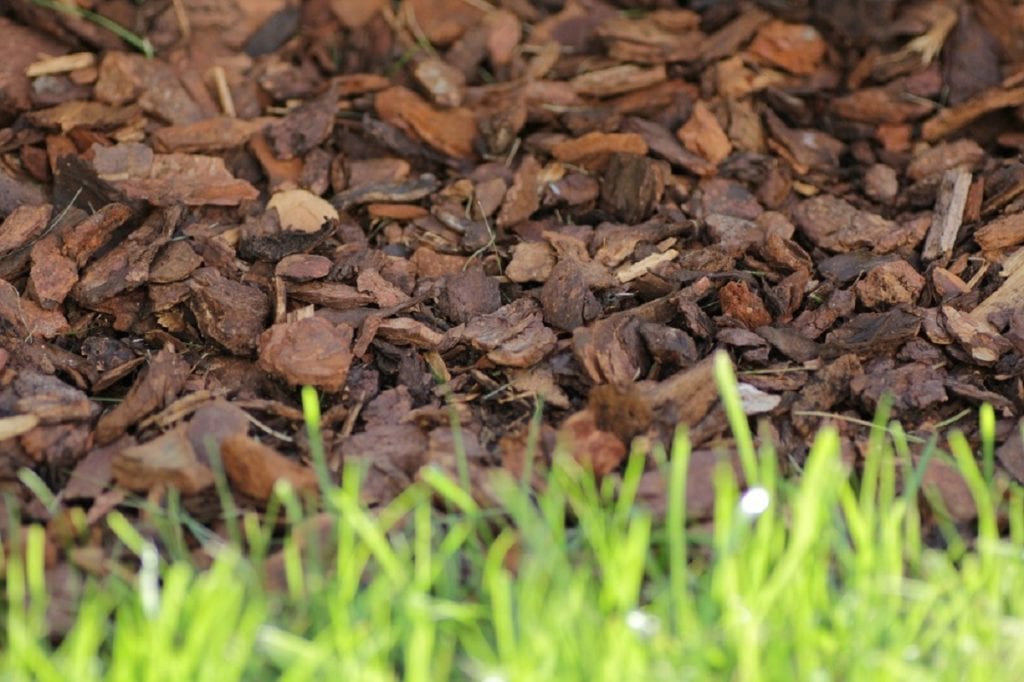 Say the word mulch today and the experienced gardener will tell you that it's the first line of defense for what may be a hot and dry summer.  