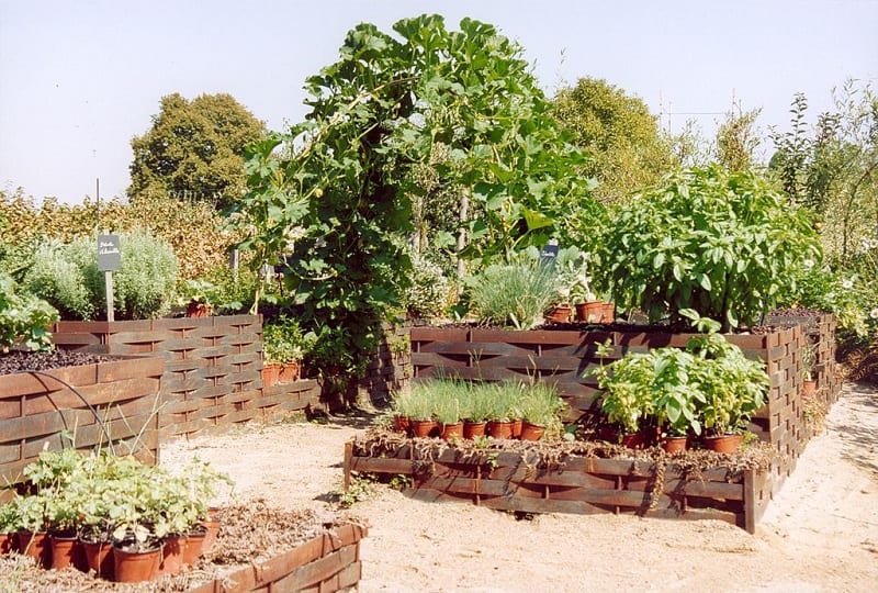 There are many diverse potager designs.