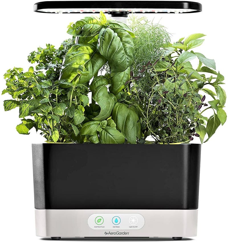 Aerogarden’s Black Harvest grows 6 plants and is excellent for kitchen herbs.