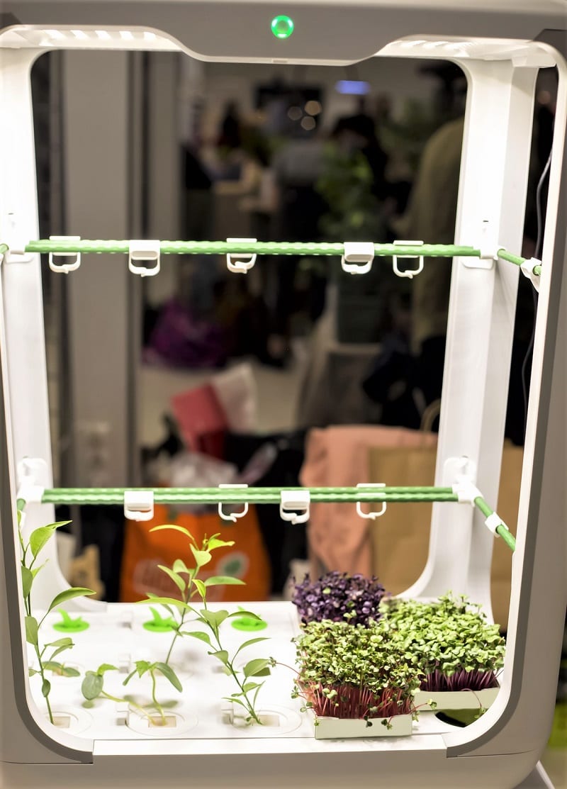 Many gardeners use hydroponic systems to supplement their outdoor harvests. 